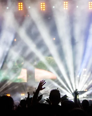 Day Trip Festival