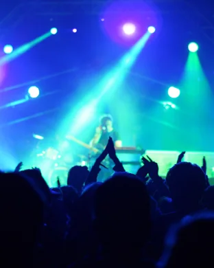 Are You Ready For It? A Taylor Experience