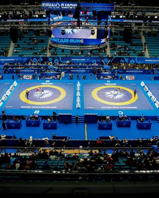 Little Mania Mini Wrestling